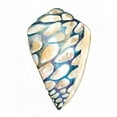thumbnail image 2 of Zarris, Chariklia 15x15 White Modern Wood Framed Museum Art Print Titled - Aquarelle Shells III, 2 of 4