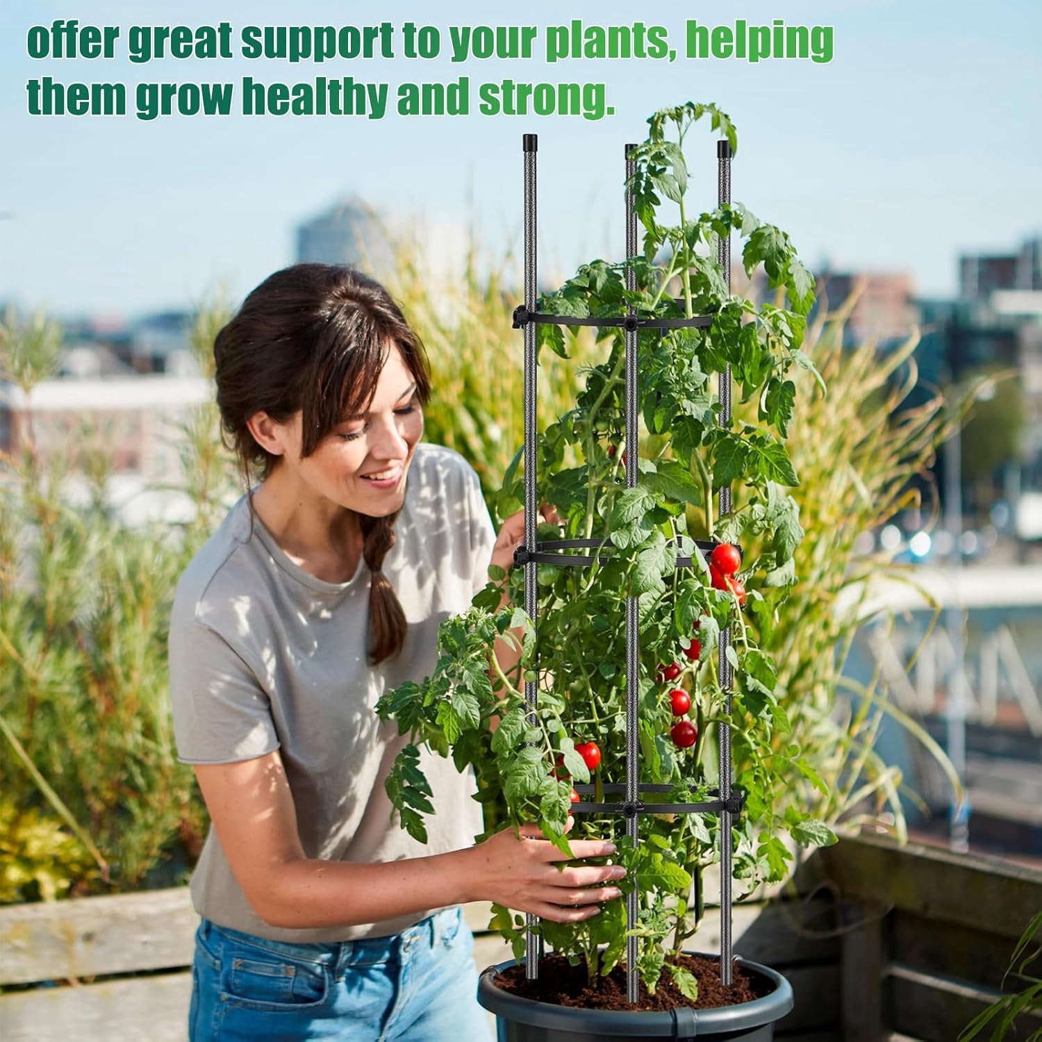 31" Metal Tomato Cage Garden Trellis to Support Plan with 2 Adjustable Support Rings for Pots,1 Pack