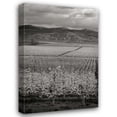 thumbnail image 1 of Vitaly Geyman 28x40 Gallery Wrapped Canvas Wall Art Titled - Pear Orchard I, 1 of 4