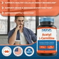 Nova Nutritions Acetyl LCarnitine 500mg Capsules Helps Maintain