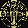 thumbnail image 3 of Framerly - FSU Engineering Diploma Frame with Black and Maroon Mat, 3 of 10