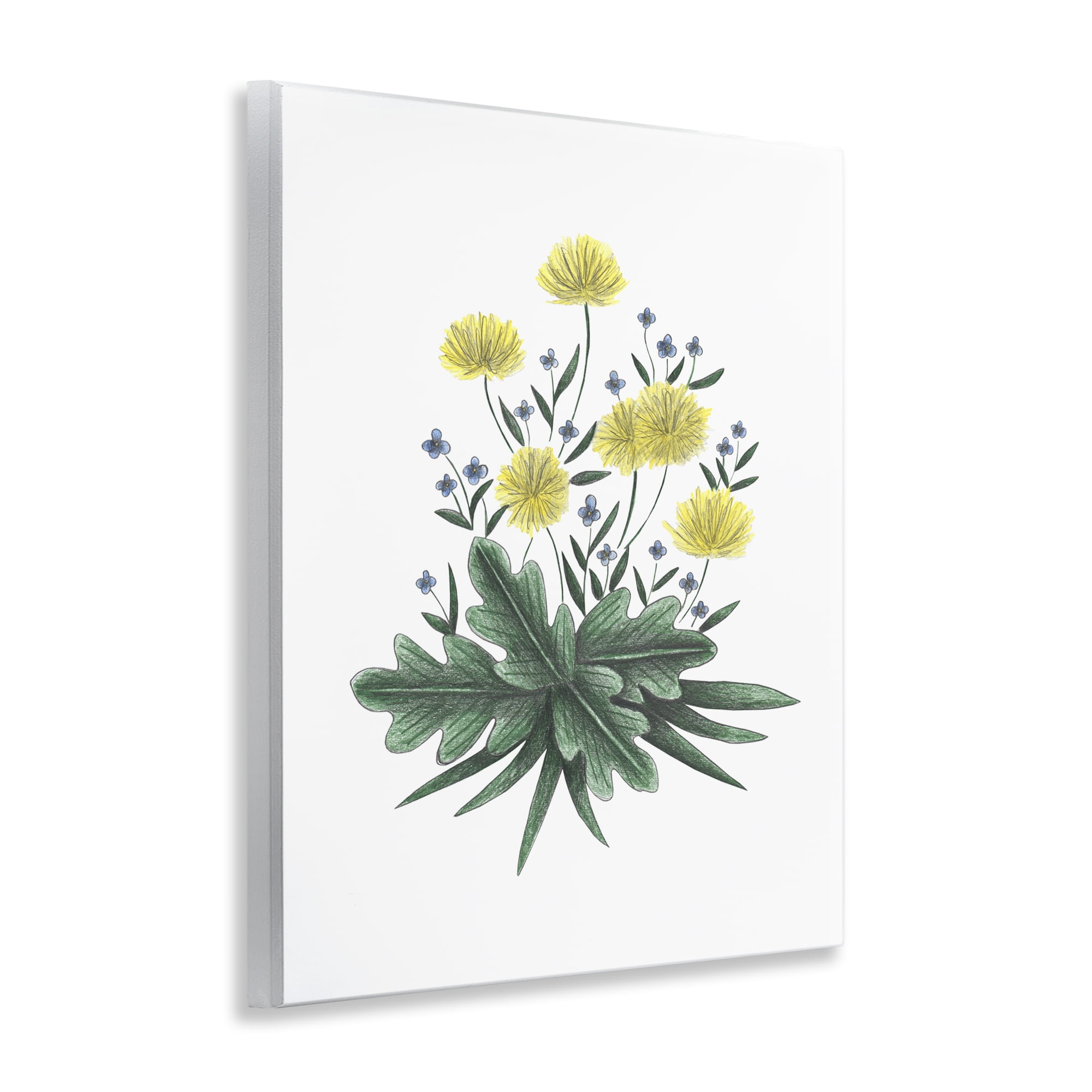 Dandelion Flower Illustration Wall Plaque Art, design by Cecilia Battaini