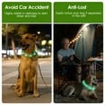 thumbnail image 4 of LED Dog Collar TeqHome USB Rechargeable Flash Dog Necklace Light Collar Adjustable Reusable for Large Dogs (27.55"), 4 of 11