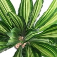 thumbnail image 4 of ELAYARD 2Ud Planta Ornamental Sansevieria Artificial Verde Para Adornar Hogar Y Espacios, 4 of 6