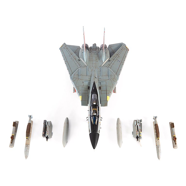 Grumman F-14D Tomcat Fighter Aircraft 