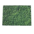 thumbnail image 4 of CRAFTHROU 1Pack Fake Grass Backdrop Greenery Lawn Pattern Photography Backdrops, 4 of 8