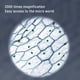 thumbnail image 5 of JShteea 0-2000x 5 0M Microscopio digital Pixel Doual Lens para la placa circuito soldadura, 5 of 9