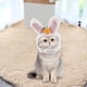 thumbnail image 4 of Sombrero Lindo Del Gato Del Animal Doméstico, Sombrero Del Del Sombrero Del Gato Gorros Lindos de Las Orejas Del Conejo Accesorios de La Foto, 4 of 9