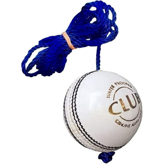 REINDEER Training Cricket White Leather Hanging Ball for Senior Players (150Gm-170Gm Each)