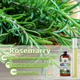 thumbnail image 4 of Aceite Esencial GV77ZF de Romero 480 ml Aroma Natural, 4 of 9
