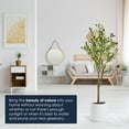 thumbnail image 6 of American Art Decor Realistic Artificial Olive Tree in a white pot Faux Plant for Home Decor, Indoor Living Room, or Office, 48", 6 of 7