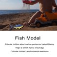 thumbnail image 4 of Fish Model Toy, Exquisite Design Fish Model, Cultivate Environmental Awareness Enrich Marine Knowledge Home For Boys Girls Kindergarten Fish Model, 4 of 8