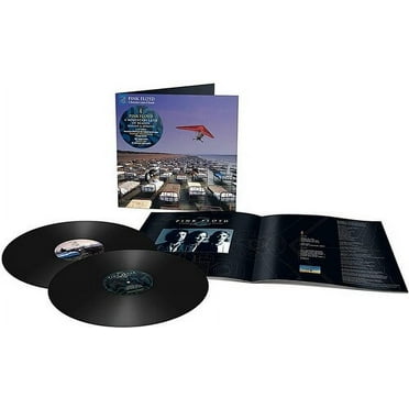 Pink Floyd - A Momentary Lapse Of Reason - Music & Performance - Vinyl