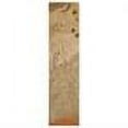 thumbnail image 3 of Surya Mugal IN-8056 Area Rug, 3 of 5