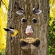 thumbnail image 2 of ¡Gran oferta! decoración de jardín alimentador de pájaros cara de Animal alimentador de pájaros de árbol Rural decoración artesanal para patio alimentador de pájaros colgante para exteriores, 2 of 8