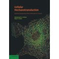 thumbnail image 2 of Cellular Mechanotransduction: Diverse Perspectives from Molecules to Tissues, 2 of 2