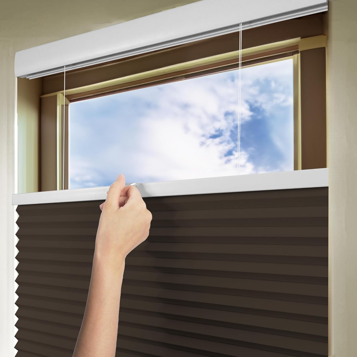 Chicology Brown Blackout Cordless Top Down Bottom Up Cellular Shades 51.75 in. W x 48 in. L