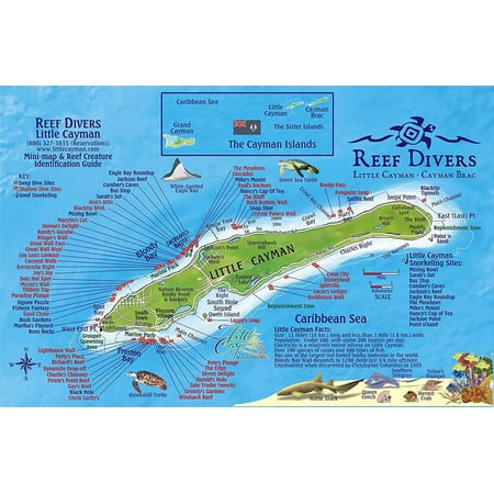 Little Cayman Island Dive Map & Reef Creatures Guide Laminated Fish Card, Map of Diving & Snorkeling locations By Franko