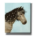 thumbnail image 1 of Epic Graffiti 'Horse Buckskin with Jewelled Bridle' by Fab Funky, Canvas Wall Art, 26"x30", 1 of 3