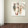 thumbnail image 3 of Trademark Fine Art 'Farm Friends VI' Canvas Art by Lisa Audit, 3 of 3