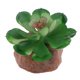 thumbnail image 4 of El adorno de plantas suculentas de terrario de reptiles tus una 3 Gloria Adorno de acuario, 4 of 7