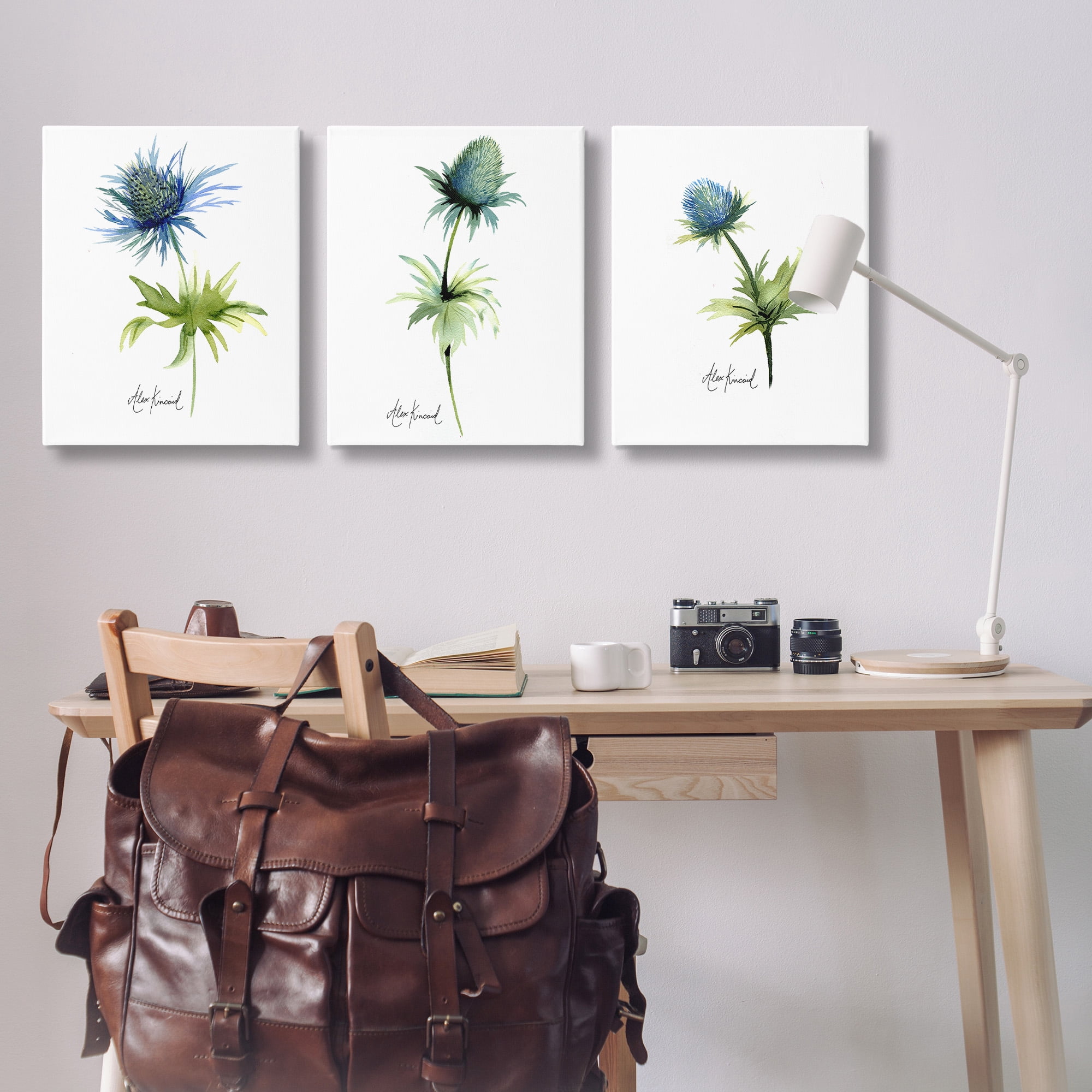 Stupell Industries Thistle Watercolors on White Botanical & Floral Painting Gallery Wrapped Canvas Art Print Wall Art, 24 x 30, Set of 3