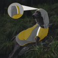 thumbnail image 3 of Chubasquero para perros IECoII ajustable con rayas reflectantes para perros, 3 of 7