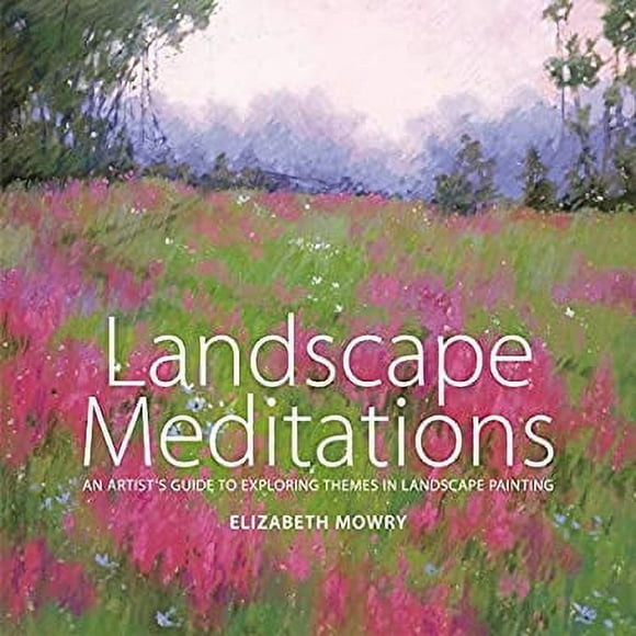 Landscape Meditations : An Artist's Guide to Exploring Themes in Landscape Painting 9780823026029 Used / Pre-owned