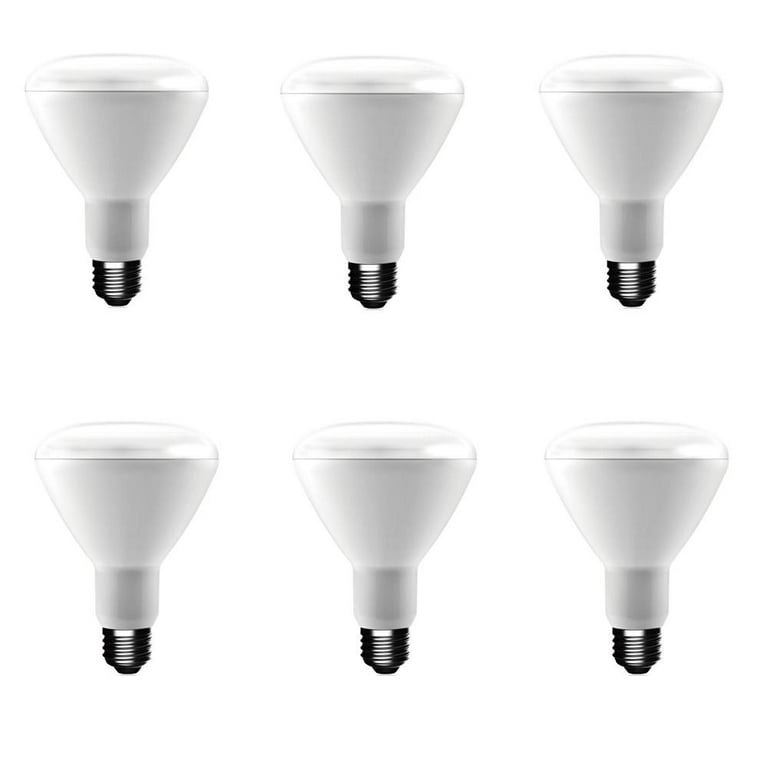 Ecosmart 65w sale bright white