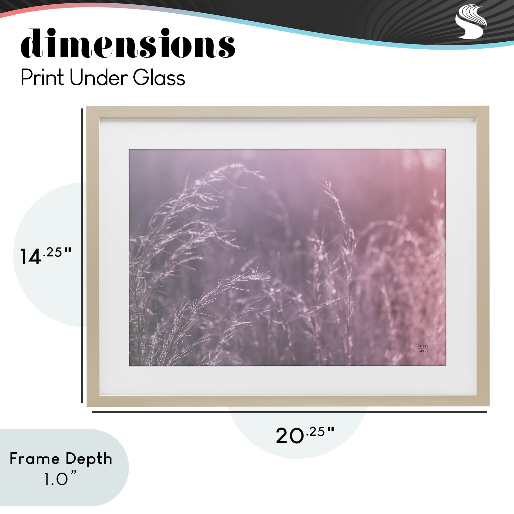 Stupell Industries Pink Meadow at Dawn Birch Framed Print Under Glass, design by Nathan Larson