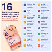 Cerebelly Organic Baby Food, Sweet Potato Peach, 4 oz Puree Toddler Pouches, 6 Pack