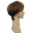 thumbnail image 3 of XIAQUJ Synthetic Women Wig Straight Wigs for Women Natural Hair Wig Wigs with Heat Wigs for Women Multicolor, 3 of 7