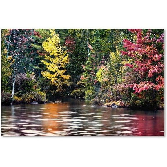 Trademark Fine Art "Adirondacks" Canvas Art by David Ayash