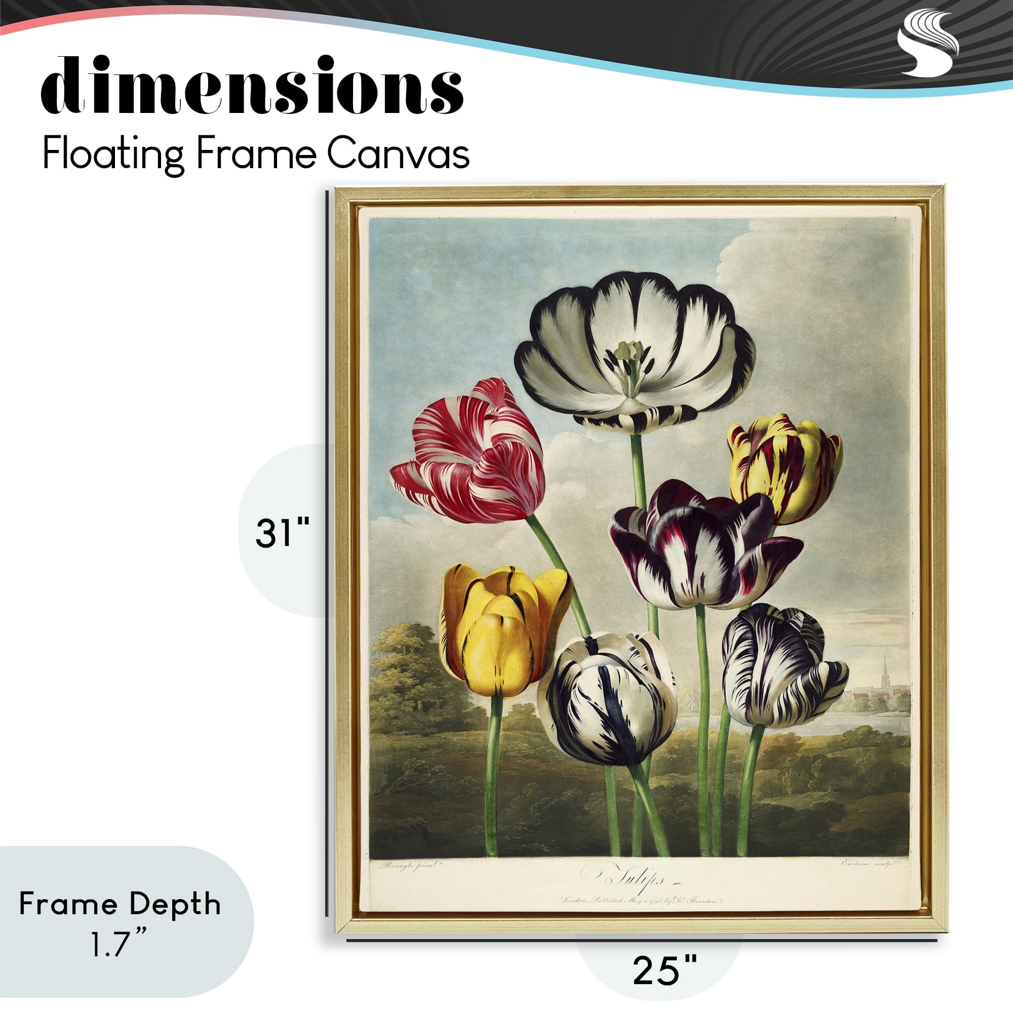 Stupell Industries Tulips From The Temple Gold Framed Floater Canvas Wall Art, design by Print Collection