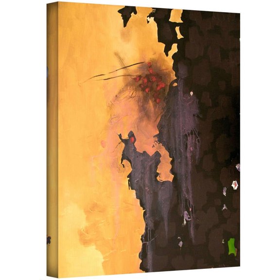 ArtWall Jim Morana "Abstract Hole" Gallery-wrapped Canvas