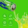 thumbnail image 4 of Poppi Sparkling Prebiotic Soda Beverage with Apple Cider Vinegar, Seltzer Water and Fruit Juice, New Obsessions Variety Pack, 12 Fl Oz, Pack of 12, Packaging May Vary, 4 of 6