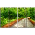 thumbnail image 2 of Chemin dans une Forêt de Mousse Profonde, 2 of 3