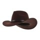 thumbnail image 5 of Hytrove Sombrero Vaquero Unisex Café De Fieltro Para Viajes Fiestas Y Uso Diario Con Protección Solar, 5 of 8