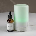 Blueek Versatile WaterBased Essential Oil Humidifier Aromatherapy