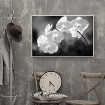 wall26 Framed Canvas Wall Art for Living Room, Bedroom Flower Closeup I Canvas Prints for Home Decoration Ready to Hang - 16x24 inches
