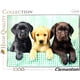 thumbnail image 4 of Rompecabezas Cachorros Labrador Clementoni High Quality Collection 1000 Piezas, 4 of 4