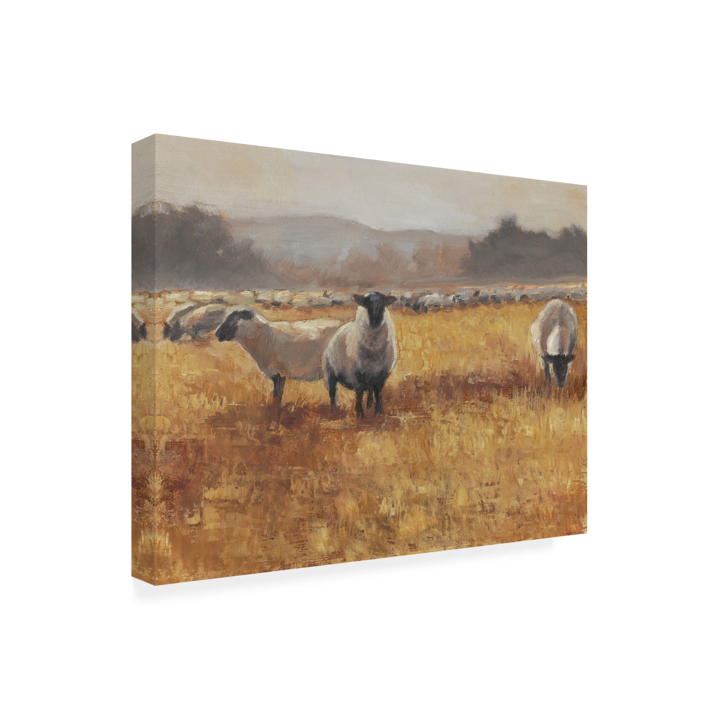 Ethan Harper 'Grazing at Sunset I' Canvas Art