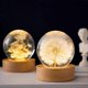 thumbnail image 2 of Floral Crystal Globe Lamp with Dandelion Design for Women, Moms, and Kids Gift Ideal декорative Ornament, 2 of 5