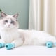 thumbnail image 4 of Methold 4x árboles para gatos y postes rascadores para entretenimiento de amigos felinos, herramientas para el cuidado de mascotas, Aseo de mascotas azul claro, 4 of 6