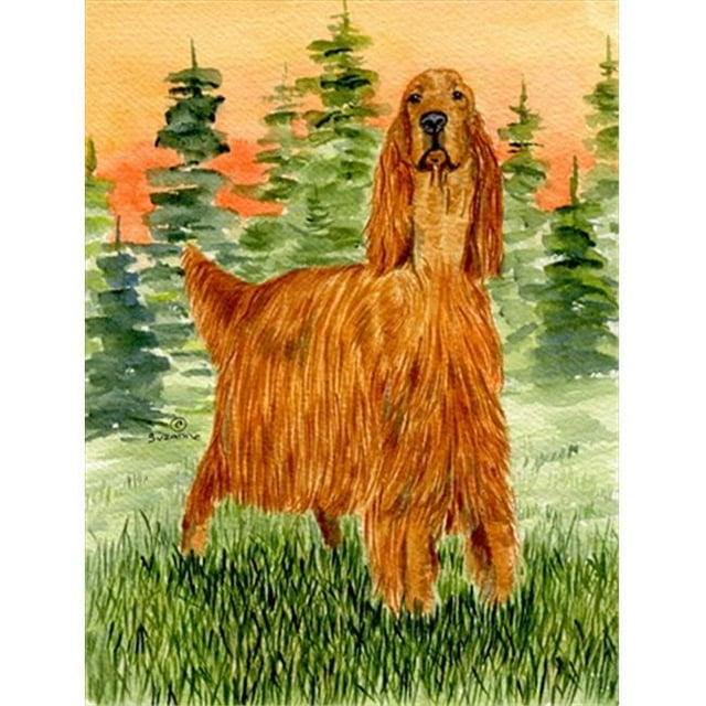 28 x 40 in. Irish Setter House Size Canvas Flag