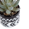 thumbnail image 3 of hometrends Taboo Mini Faux Succulent, 3 of 7