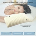 TalatexHome TALATEX 100 Natural Premium Latex Pillow, Dunlop Pillow Helps Relieve Pressure