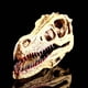 thumbnail image 2 of Figura de dinosaurio decorativa, modelo de calavera para colección de anatomía, decoración de Halloween, 2 of 9