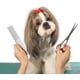 thumbnail image 5 of Peine de acero inoxidable para mascotas, peine de aseo para mascotas, peine de dientes redondos para perros y gatos con pelo enredado, 19x3 cm, 5 of 5