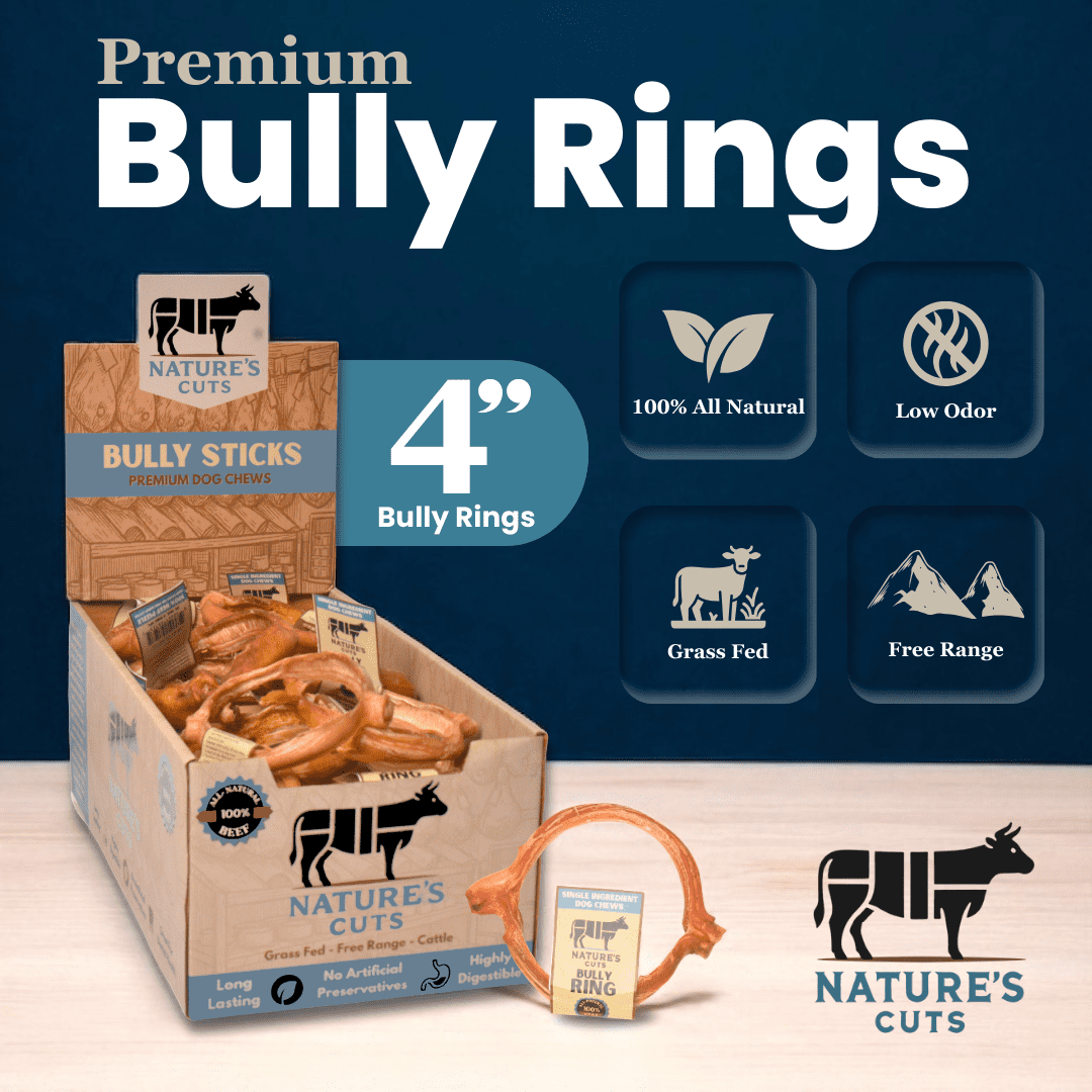 4" Bully Rings Display Box (25 ct) with Individual UPC Tags - 100% All Natural Beef Bully Sticks
